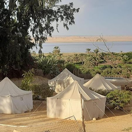 Tunis Camp Al Fayyūm Exterior foto