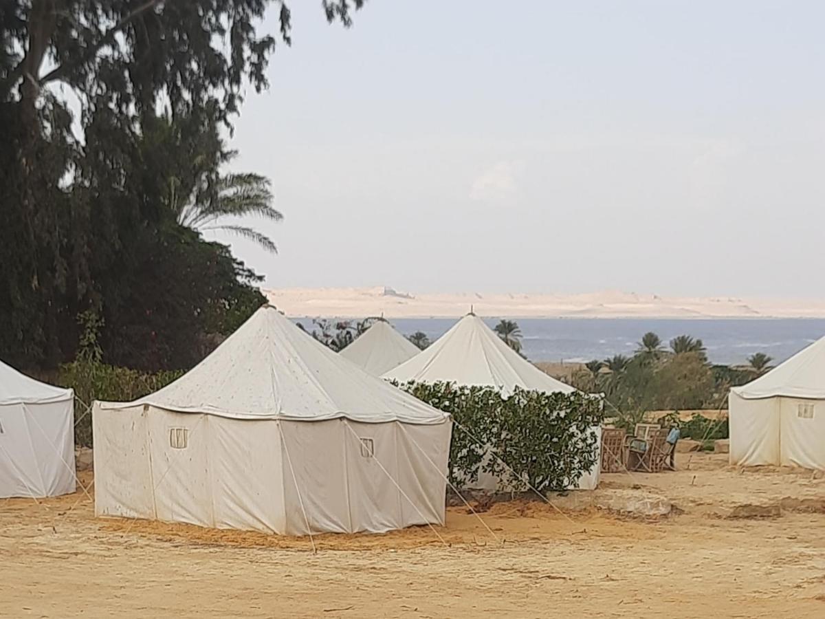 Tunis Camp Al Fayyūm Habitación foto